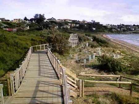 View of Entire Boardwalk